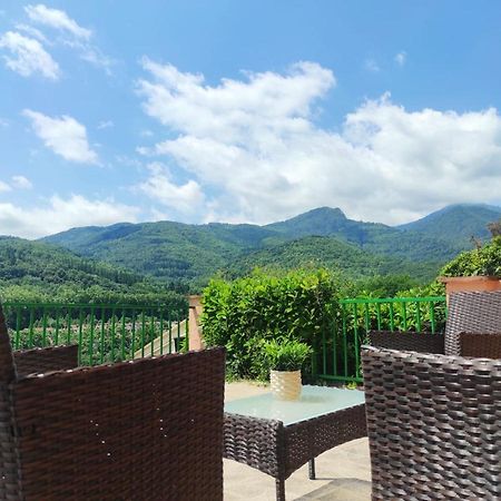 Casa Palau - Relax y naturaleza a los pies del Montseny Arbúcies Villa Exterior foto