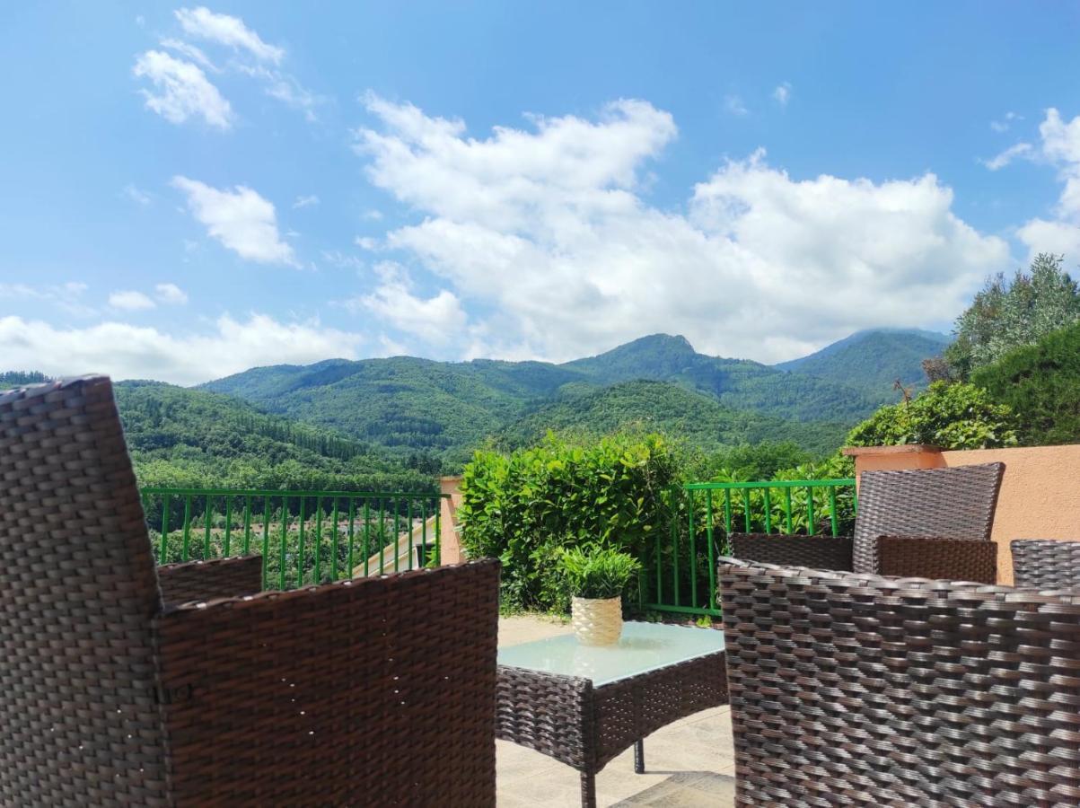 Casa Palau - Relax y naturaleza a los pies del Montseny Arbúcies Villa Exterior foto